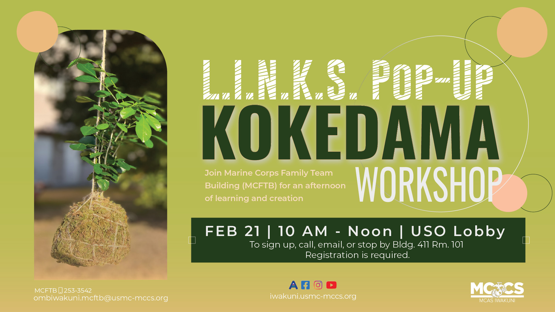 L.I.N.K.S. Kokedama Creation Pop-up Event