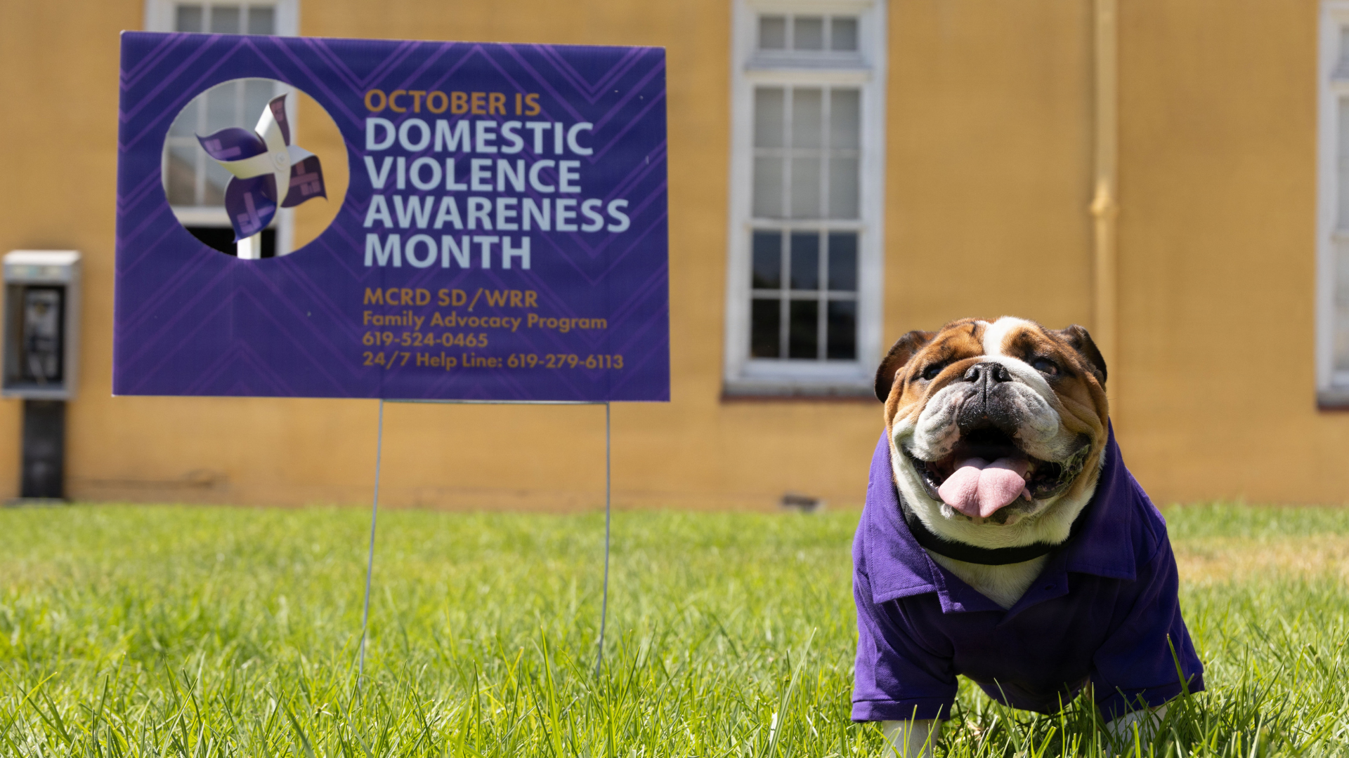 Domestic Violence Awareness Month - Week of Action from October 19 to 23