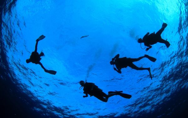 PADI Open Water Diver Course