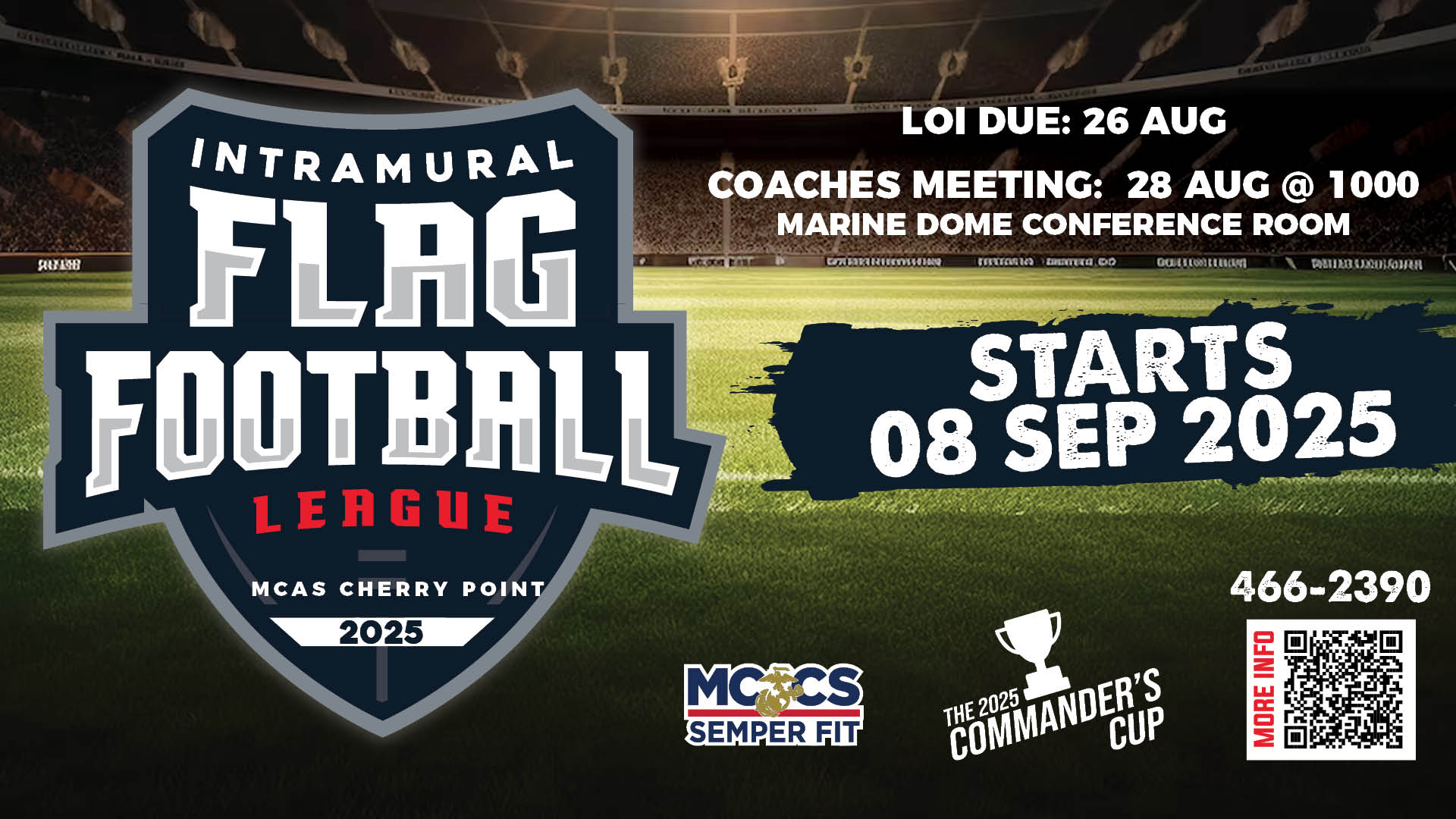 Flag Football League
