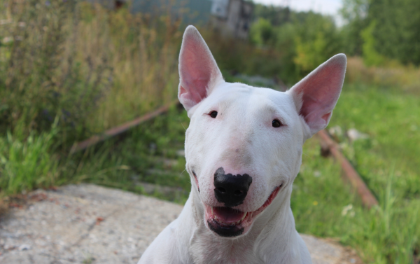 Youth Fitness (Ages 5-6)