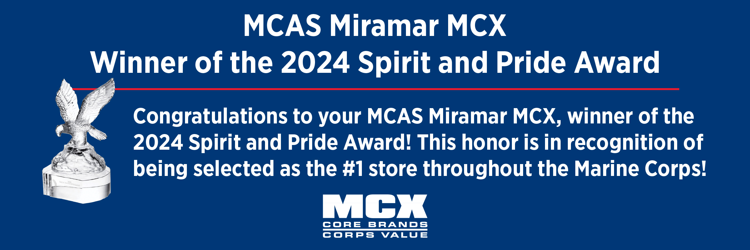 MCX Spirit & Award Web.jpg