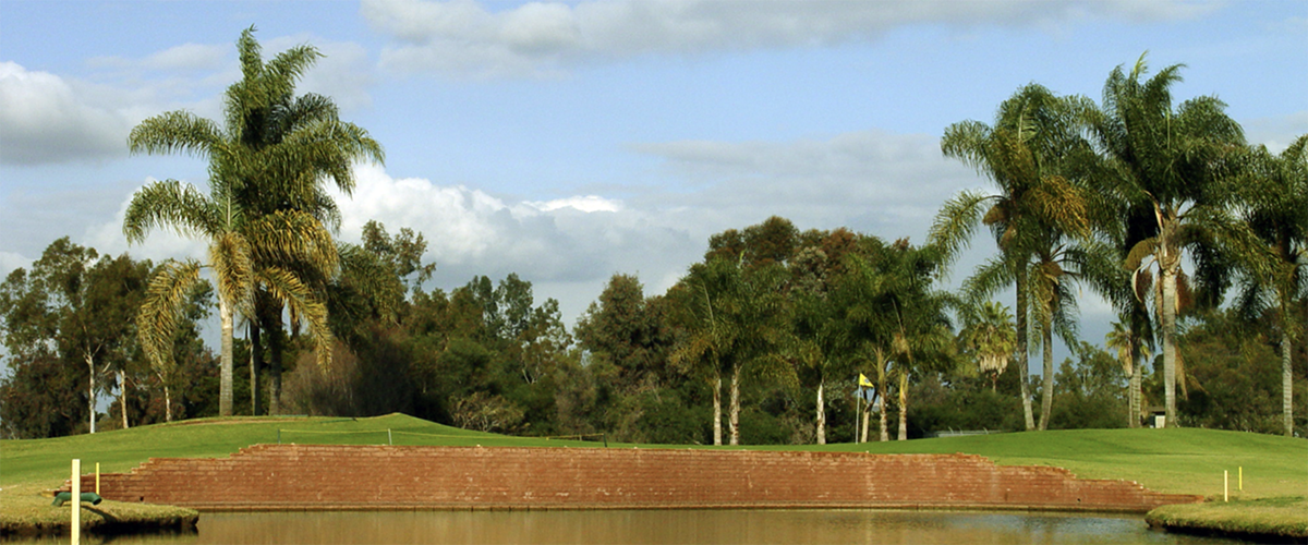 Overview